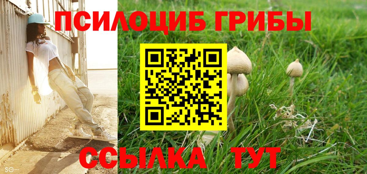 Псилоцибиновые грибы мицелий Каменск-Шахтинский