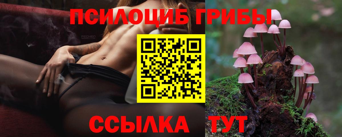 Каменск-Шахтинский  Псилоцибиновые грибы GOLDEN TEACHER  Вход с VPN 